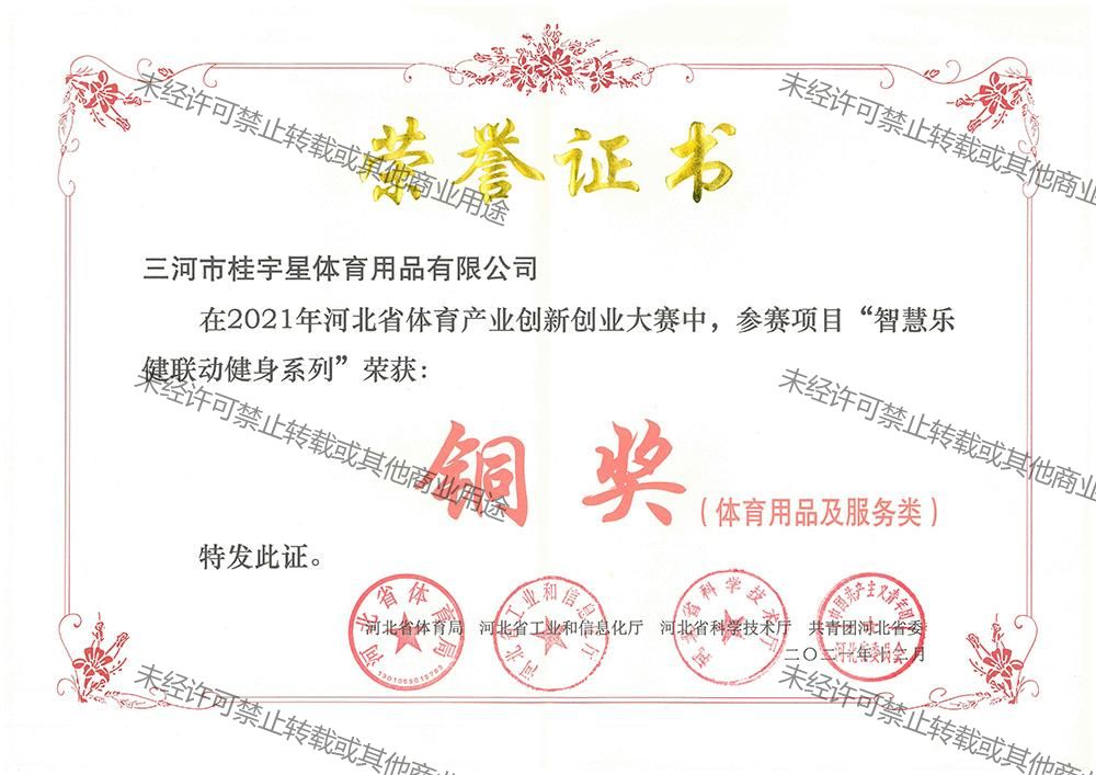 2021年河北体育产业创新创业大赛“智慧乐健联动系列”铜奖